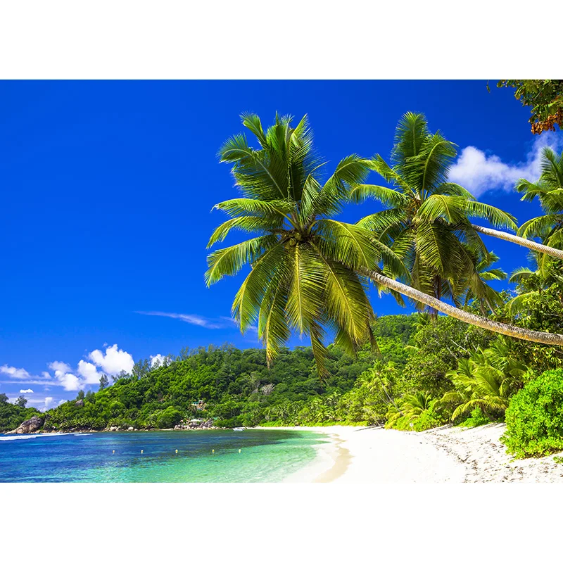 Лято Тропическо море Плаж Палми Дърво Фотография Фон Естествени живописни фото декори Фотографско студио Подпори 21930 HJK-01