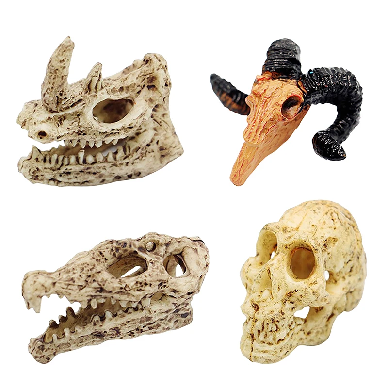 Dollhouse Holiday Animal Skull Horror Wall Decor Model Real Animal Skull Specimen Collectibles Study Необичаен Хелоуин